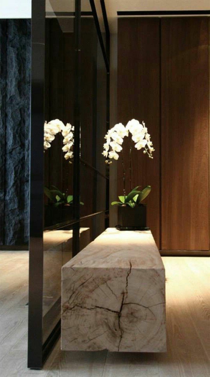 11-miroir-couloir-une-orchidee
