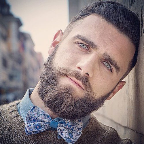 Barbes élégantes - Barbe Hipster