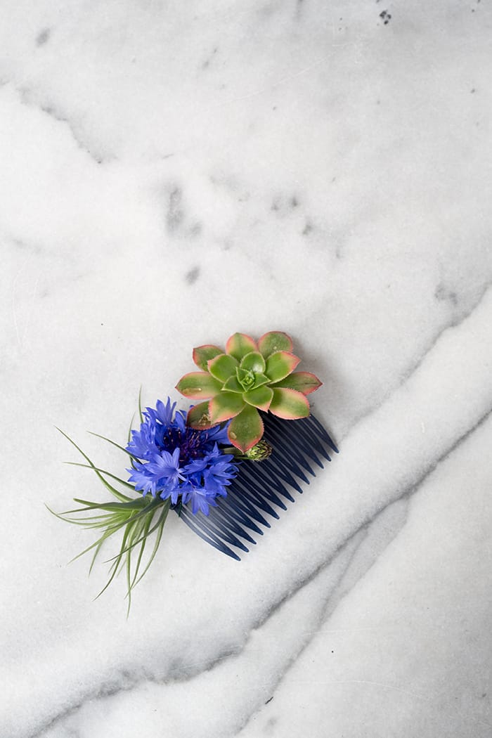 Peigne à cheveux moderne floral et succulent