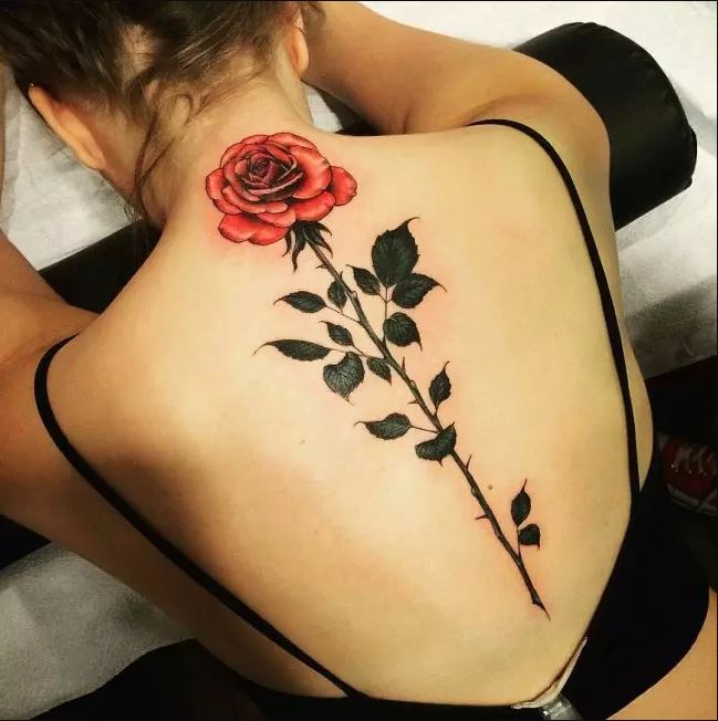 Conception de tatouages ​​de colonne vertébrale de rose rouge pour les filles