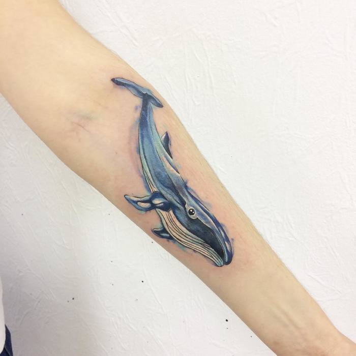 tatouage avant-bras de baleine bleue