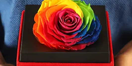 Big Forever Rainbow Rose dans une boîte en velours noir