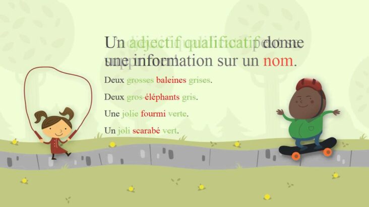 C'est quoi un adjectif invariable ?