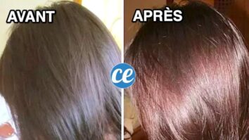 Comment avoir des cheveux comme les Asiatiques ?