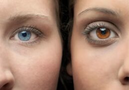 Comment avoir des yeux plus claire naturellement ?