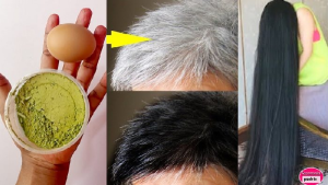 Comment cacher les cheveux gris naturellement ?