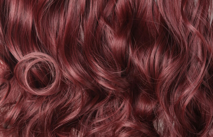 Comment est la couleur acajou des cheveux ?