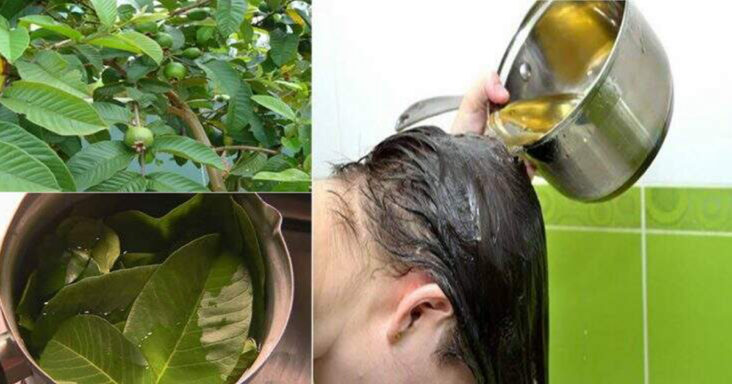 Comment éviter les cheveux verts ?