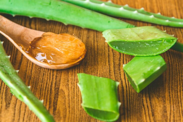 Comment faire un masque à aloe vera ?