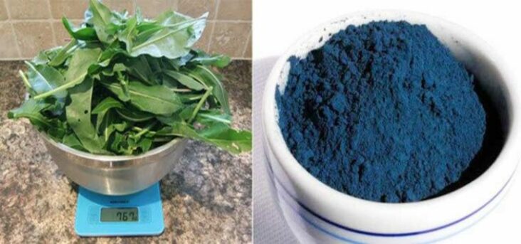 Comment faire une teinture bleue ?