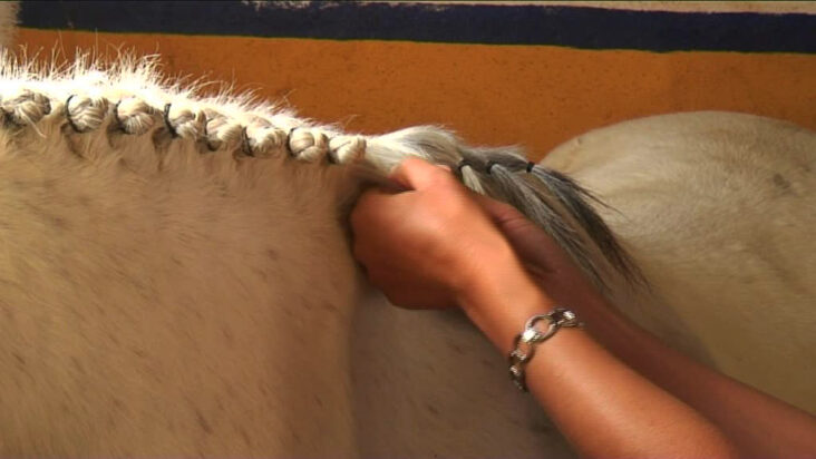 Comment faire une tresse sur un cheval ?