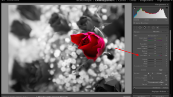 Comment garder sa couleur noir ?