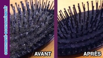 Comment nettoyer et Desinfecter une brosse à cheveux ?