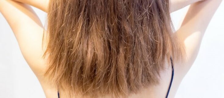 Comment nourrir les cheveux frisés et secs ?