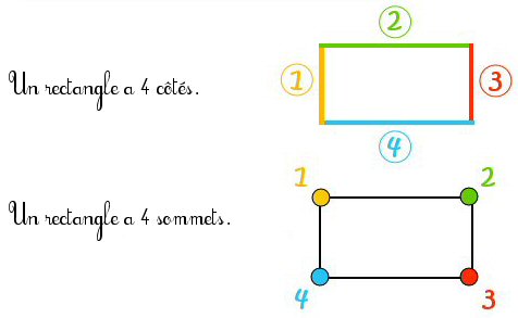 Comment s'appelle un rectangle arrondi ?