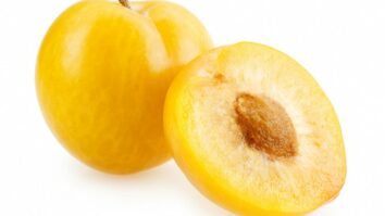 Comment s'appellent les prunes jaunes ?