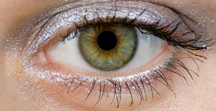 Comment savoir si on a les yeux hazel ?