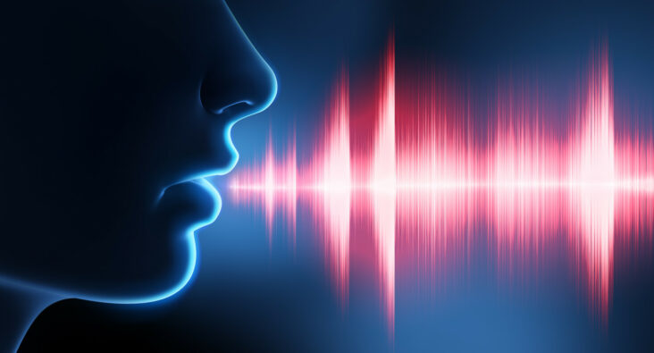 Comment se fabrique le son de la voix ?