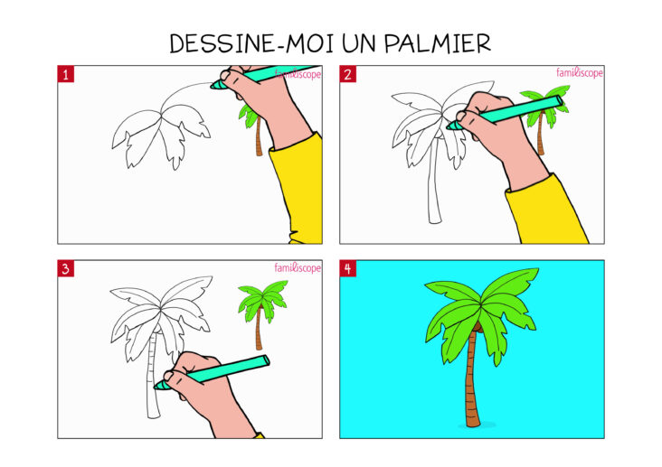 Comment se faire un palmier sur la tête ?