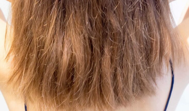 Comment traiter les cheveux secs et cassants ?