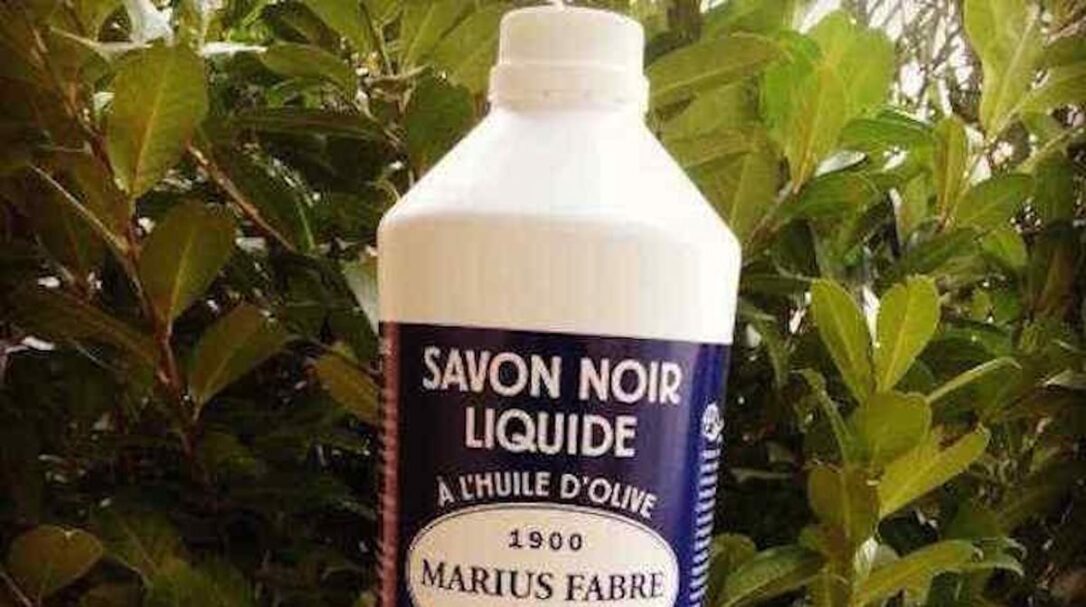 Comment transformer savon noir mou en liquide