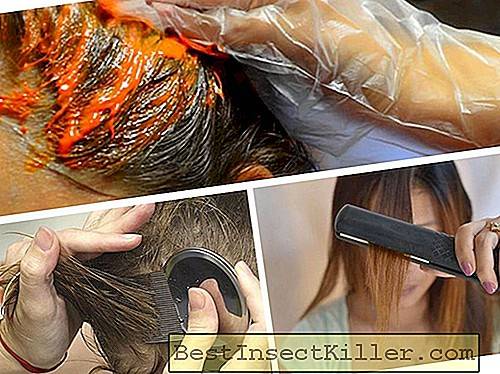 Comment tuer les poux sur une brosse à cheveux ?