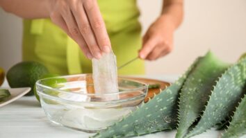 Comment utiliser l'Aloe Vera sur le cuir chevelu ?