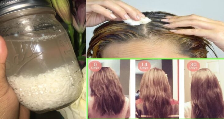 Comment utiliser la protéine de riz pour les cheveux ?