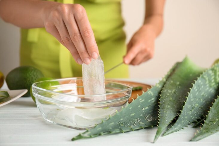 Comment utiliser l'aloe vera sur le cuir chevelu ?