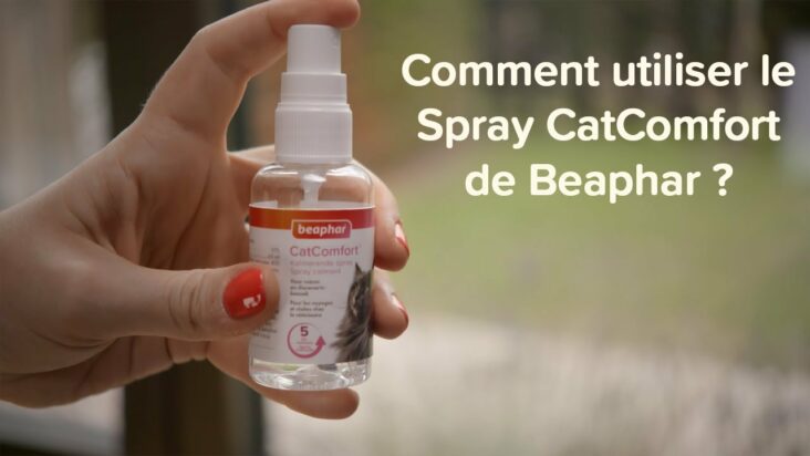 Comment utiliser le spray racine ?