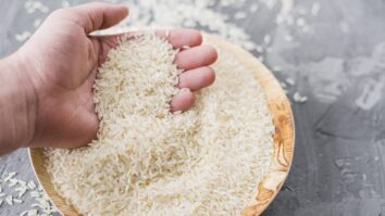 Comment utiliser les protéines de riz ?