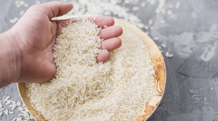 Comment utiliser les protéines de riz ?