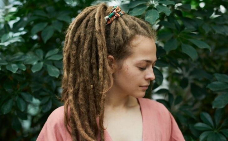 Did Vikings ever have dreadlocks?