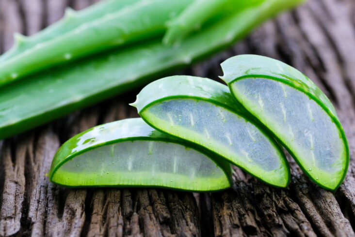 Est-ce que l'aloe vera asséché les cheveux ?