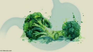 Est-ce que le brocoli est bon pour les intestins ?