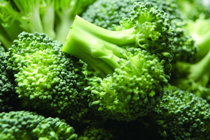 Est-ce que le brocoli peut se manger cru ?