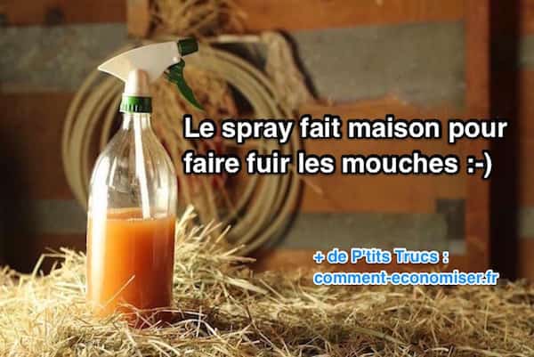 Est-ce que le vinaigre blanc fait fuir les souris ?