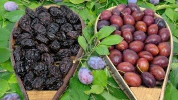 Est-ce que les prunes sont bonnes pour la santé ?