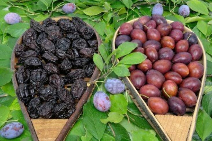 Est-ce que les prunes sont bonnes pour la santé ?
