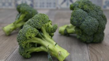 Est-ce que tout se mange dans le brocoli ?