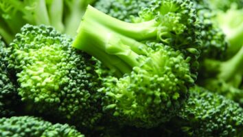 Est-ce qu'on peut manger le brocoli cru ?