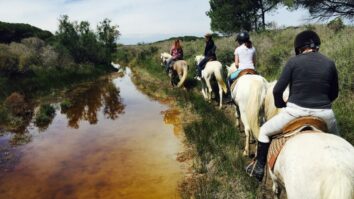 Où faire de la randonnée en cheval ?