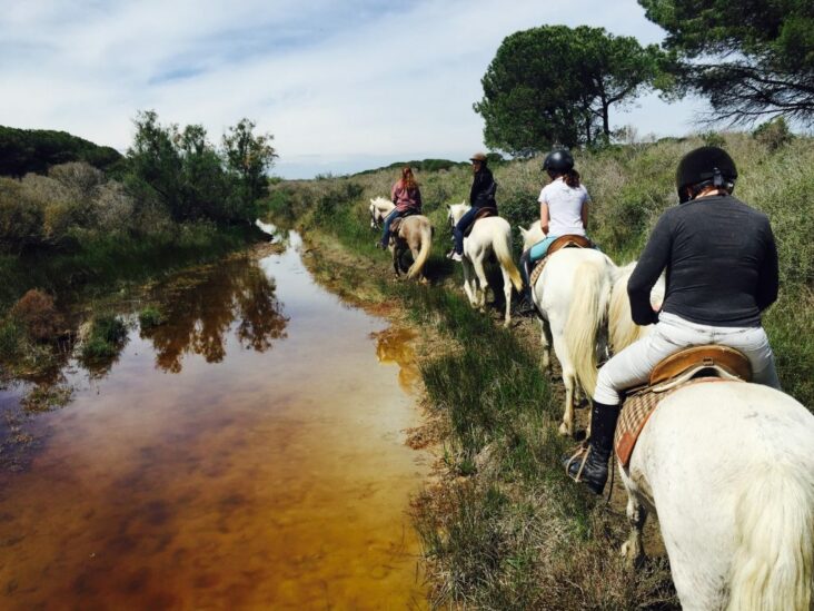 Où faire de la randonnée en cheval ?