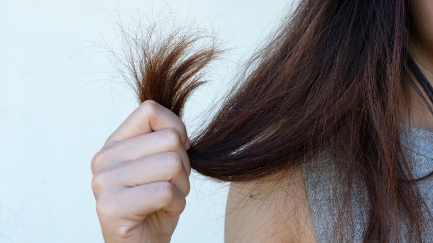 Pourquoi les cheveux fourches