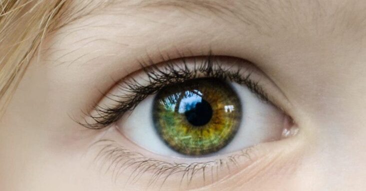 Pourquoi les yeux verts attirent ?