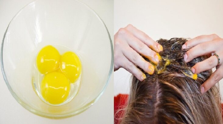 Pourquoi mettre des œufs sur les cheveux ?