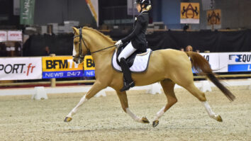 Quand est le salon du cheval ?