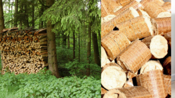 Quel est le bois le plus foncé ?