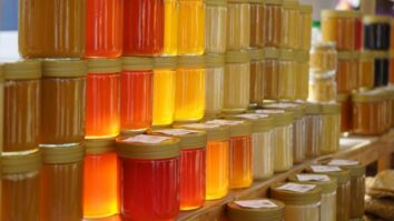 Quel est le miel qui contient le plus de peroxyde ?