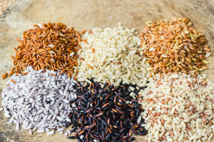Quel est le riz le plus Proteiné ?